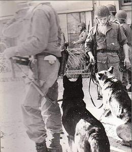 Oran- 6 jan 1960-  11